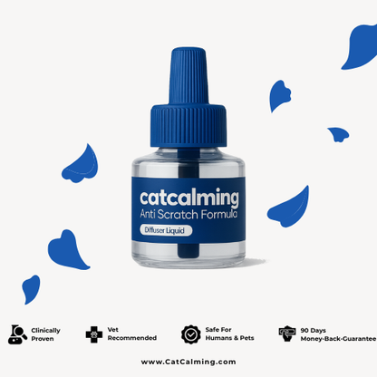 CatCalming Anti-Scratch